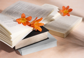 curso de Flores de Bach