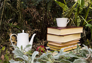 curso Técnico en Naturopatía
