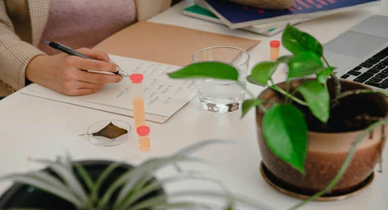 Curso en naturopatía online
